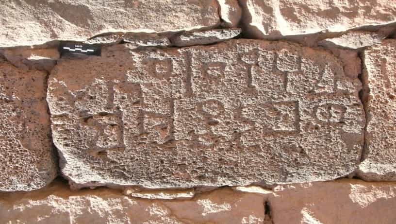 الشرعي بينون 24